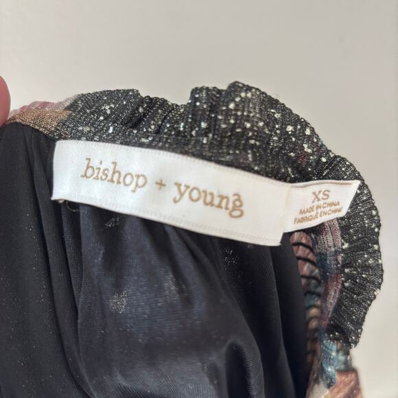 Bishop + Young Marmont Dress Enchanted Print Sheer Metallic Fairy Size XS - Picture 3 of 8